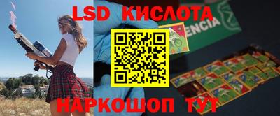 прущие грибы Краснокаменск