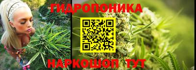 прущие грибы Краснокаменск