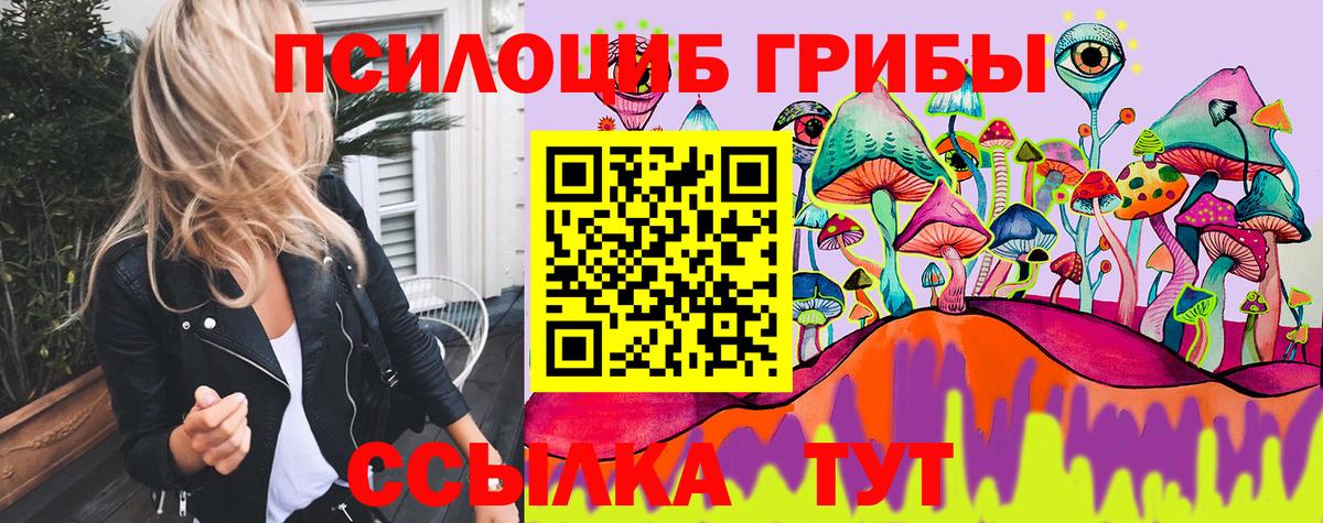 Галлюциногенные грибы Magic Shrooms  Псилоцибиновые грибы Psilocybine cubensis  Фрязино 